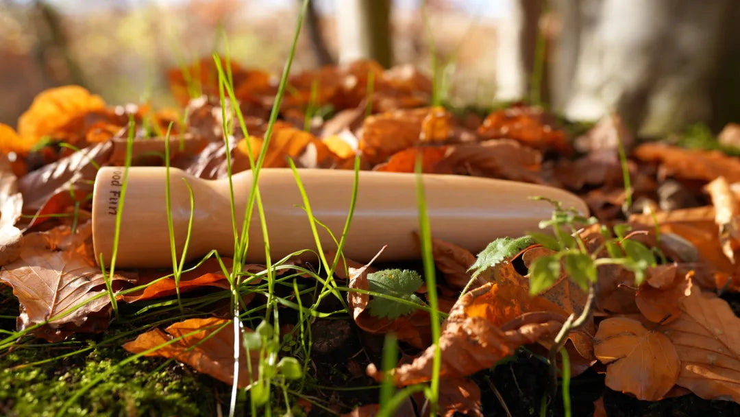 wood fun holzdildo karotte im laub